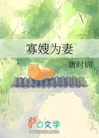 寡嫂为妻